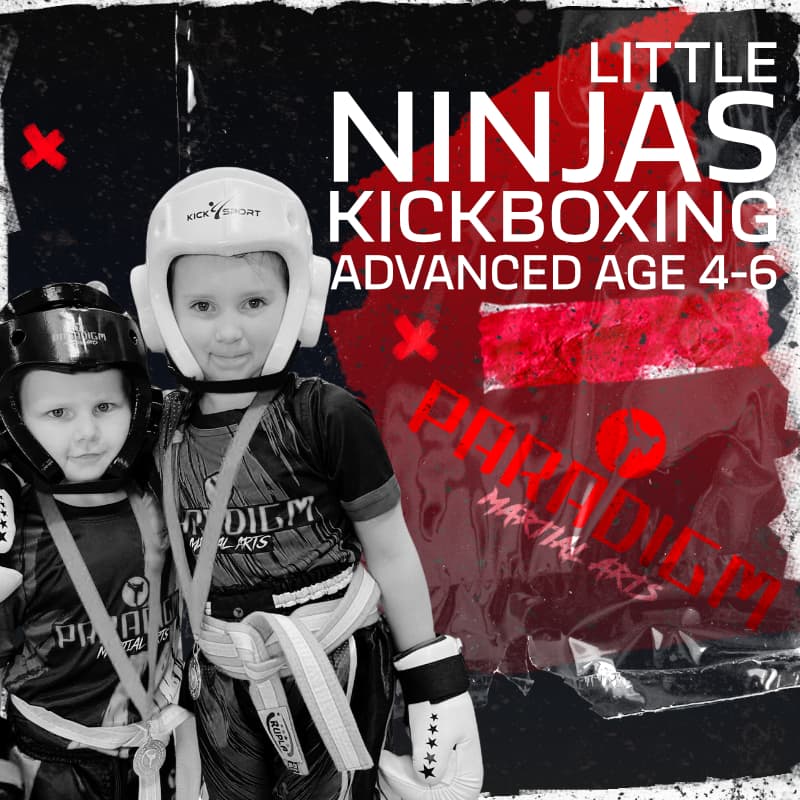 Little Ninjas Advanced