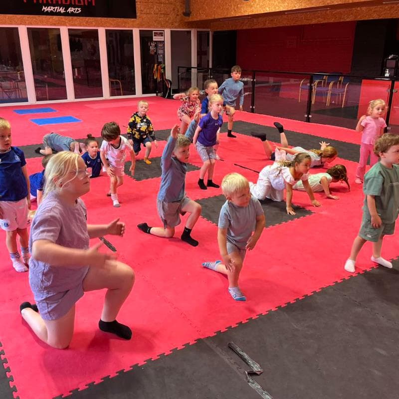Paradigm Martial Arts Academy