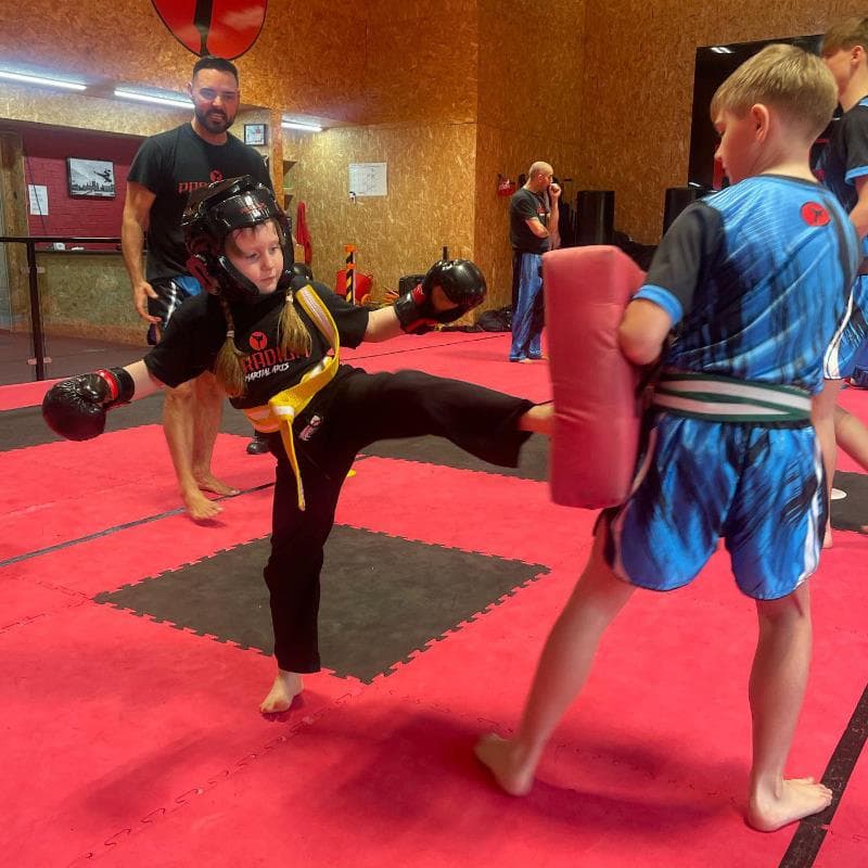 Paradigm Martial Arts Academy