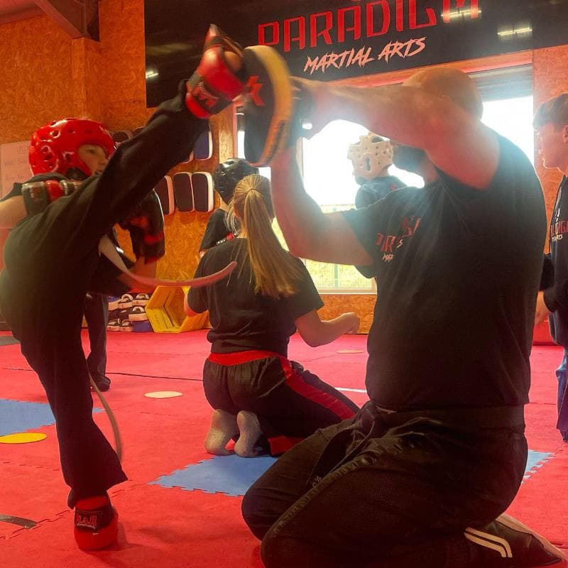 Paradigm Martial Arts Academy