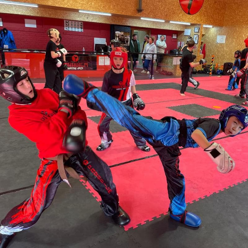 Paradigm Martial Arts Academy