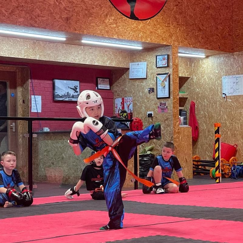 Paradigm Martial Arts Academy