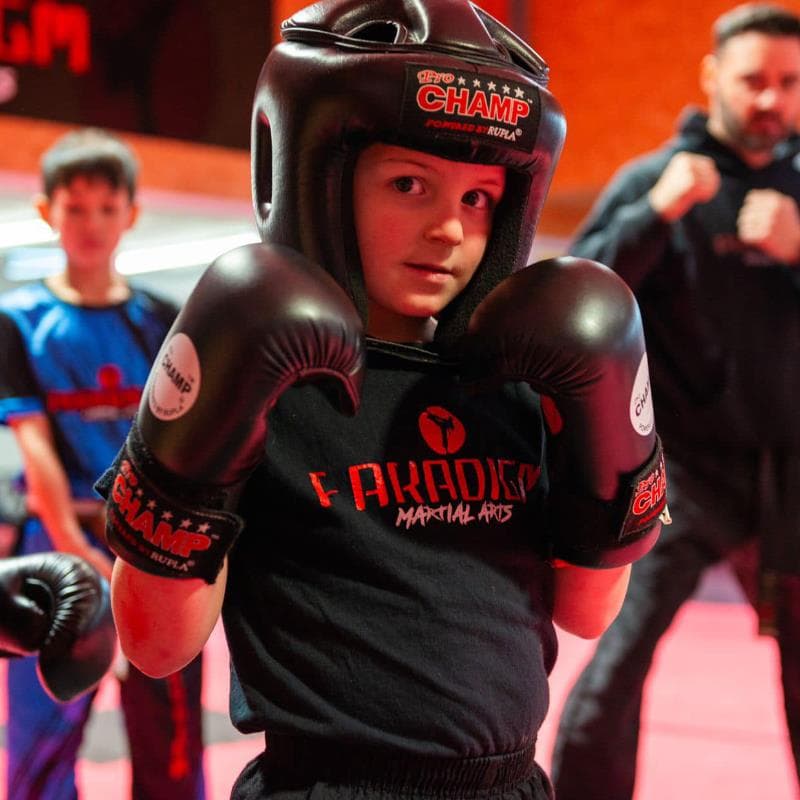 Paradigm Martial Arts Academy