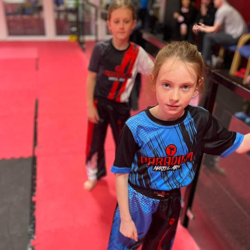 Paradigm Martial Arts Academy