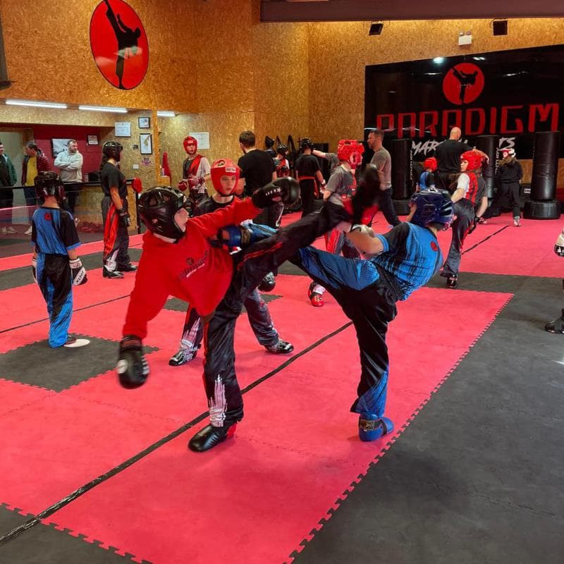 Paradigm Martial Arts Academy