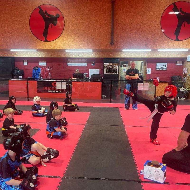 Paradigm Martial Arts Academy